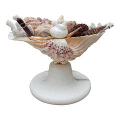 1990 Centre de table marin avec coquillages et base en marbre