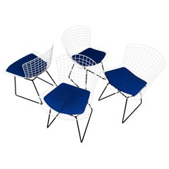 Set of 4 dining chairs 420 by Harry Bertoia for Knoll International, 1960s