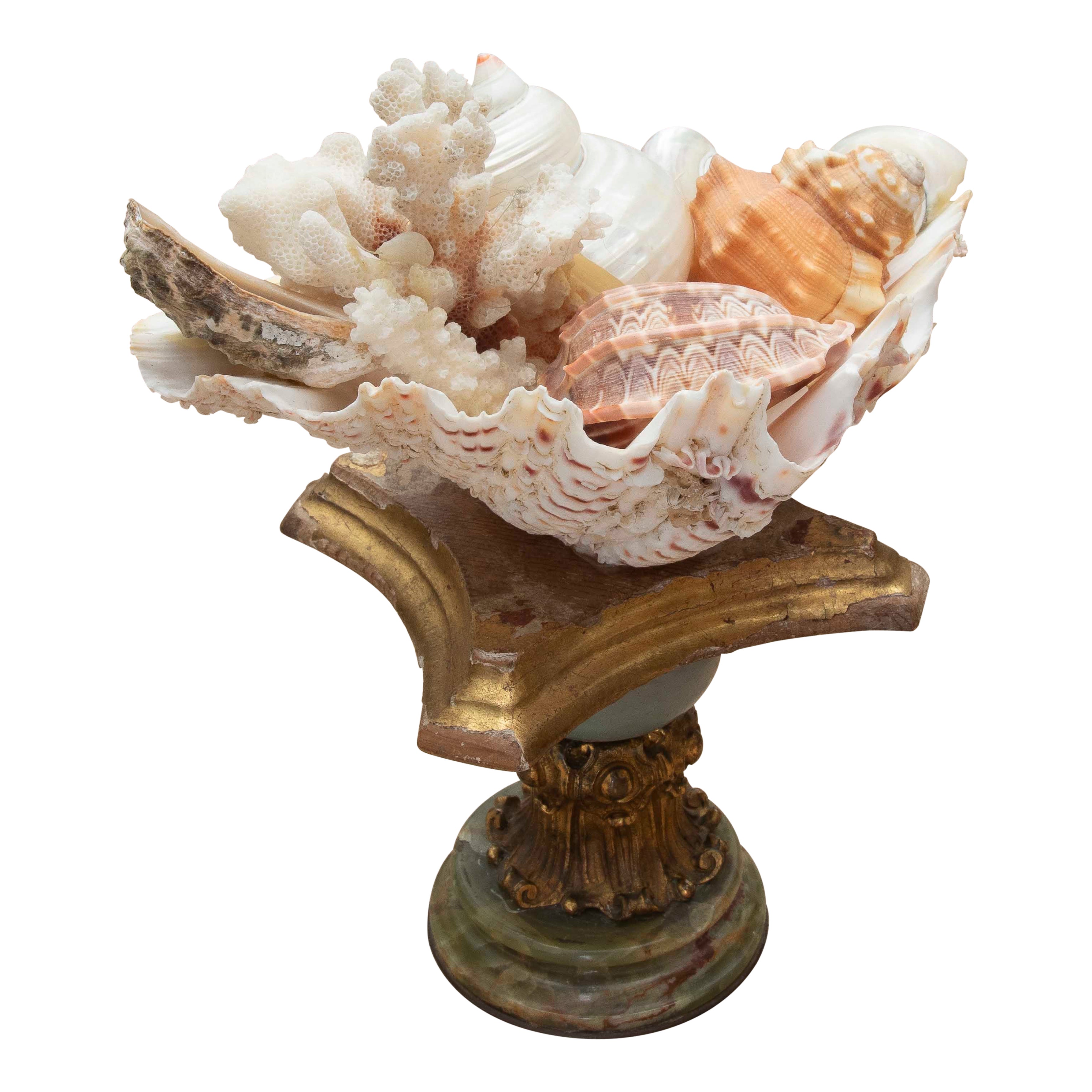 1990 Centre de table Marin avec coquillages naturels sur une base de style baroque en vente