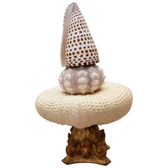 Montierte Objekte aus Holz