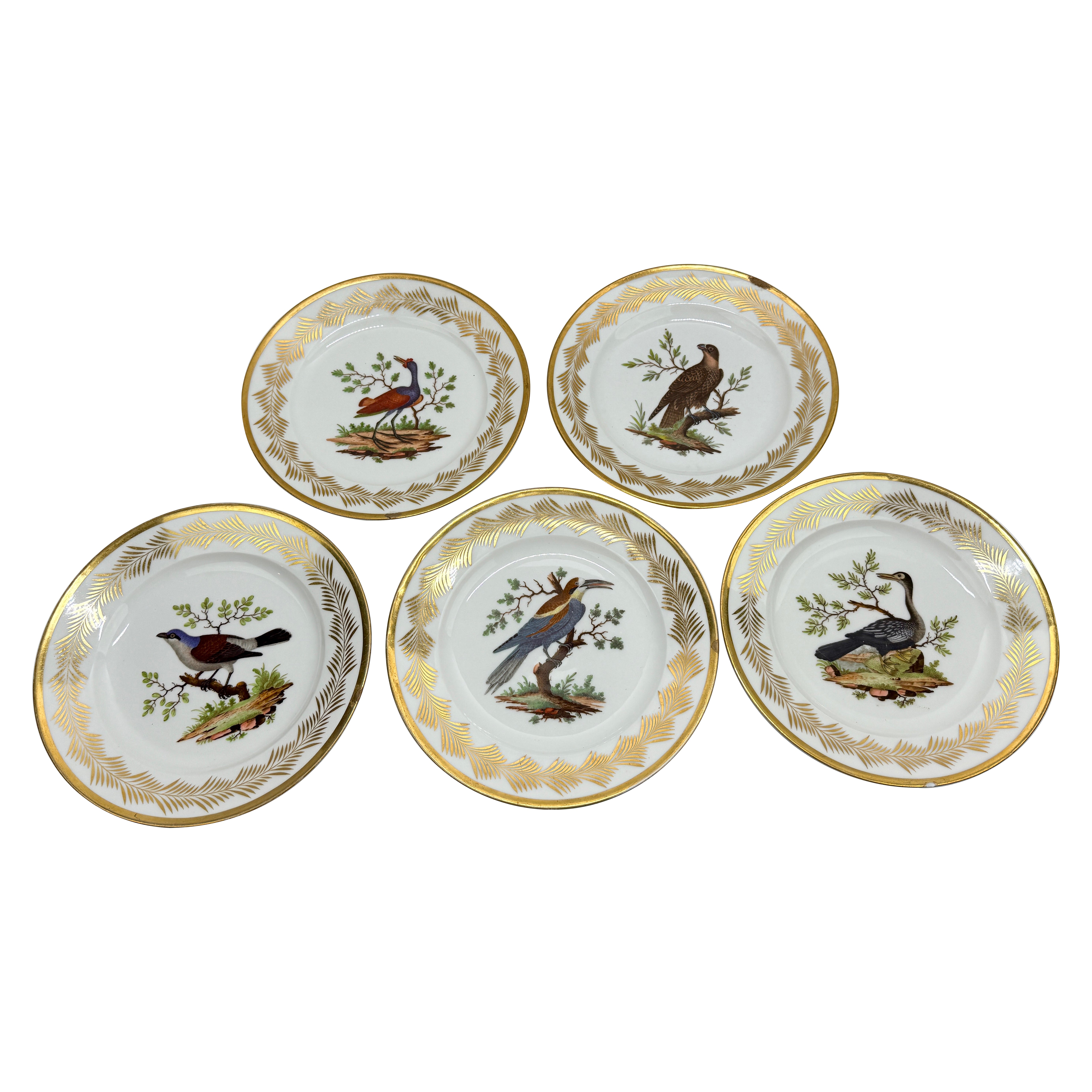 5, French Nast Factory "Ornithological" Porcelain Dessert Plates C. 1815 For Sale