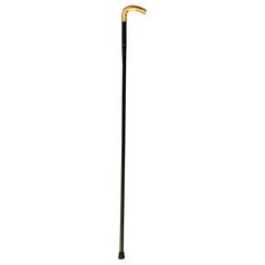 C. 1870s English Victorian Ladies Walking Stick