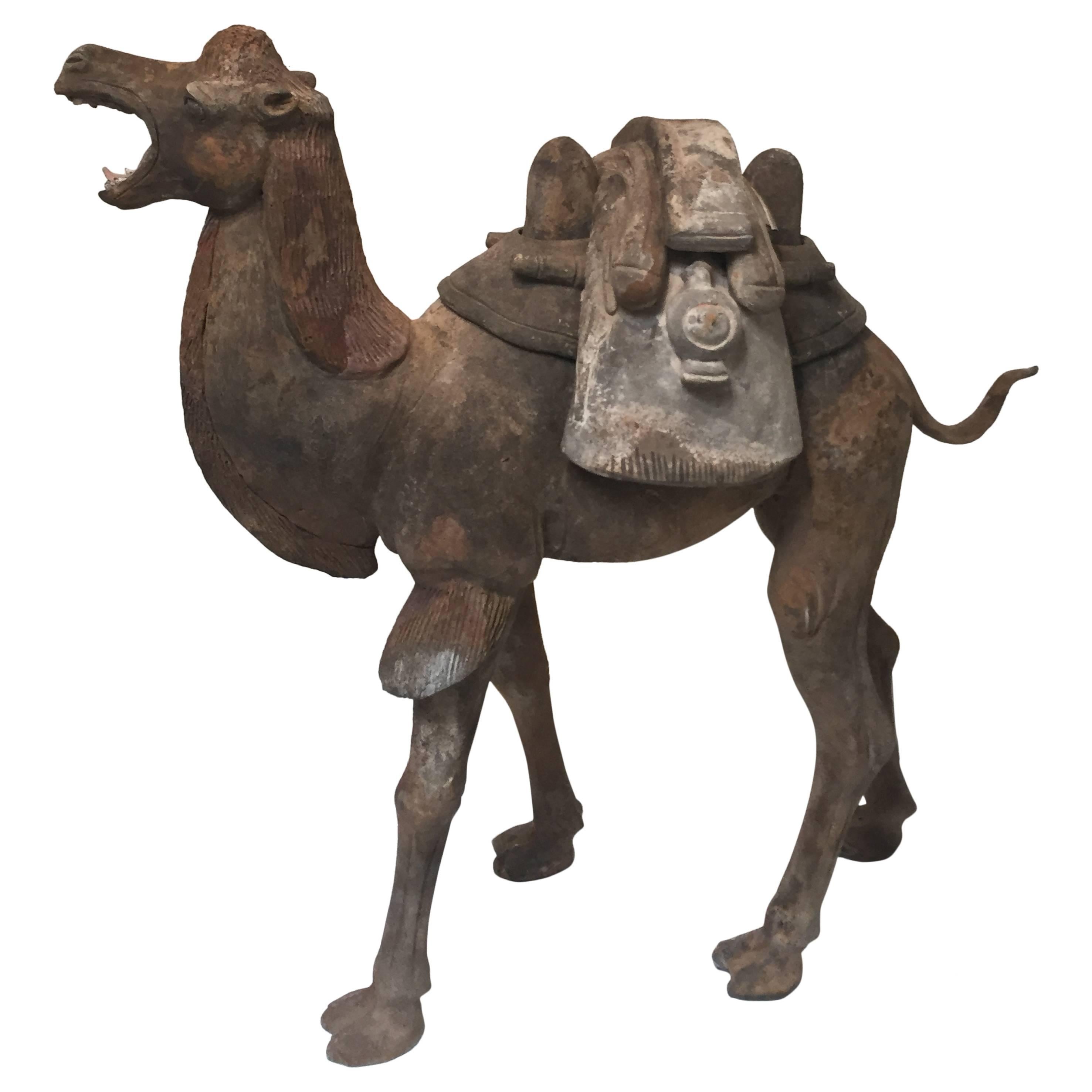 7th Century Early Tang Dynasty Camel with Two-Piece Saddle For Sale