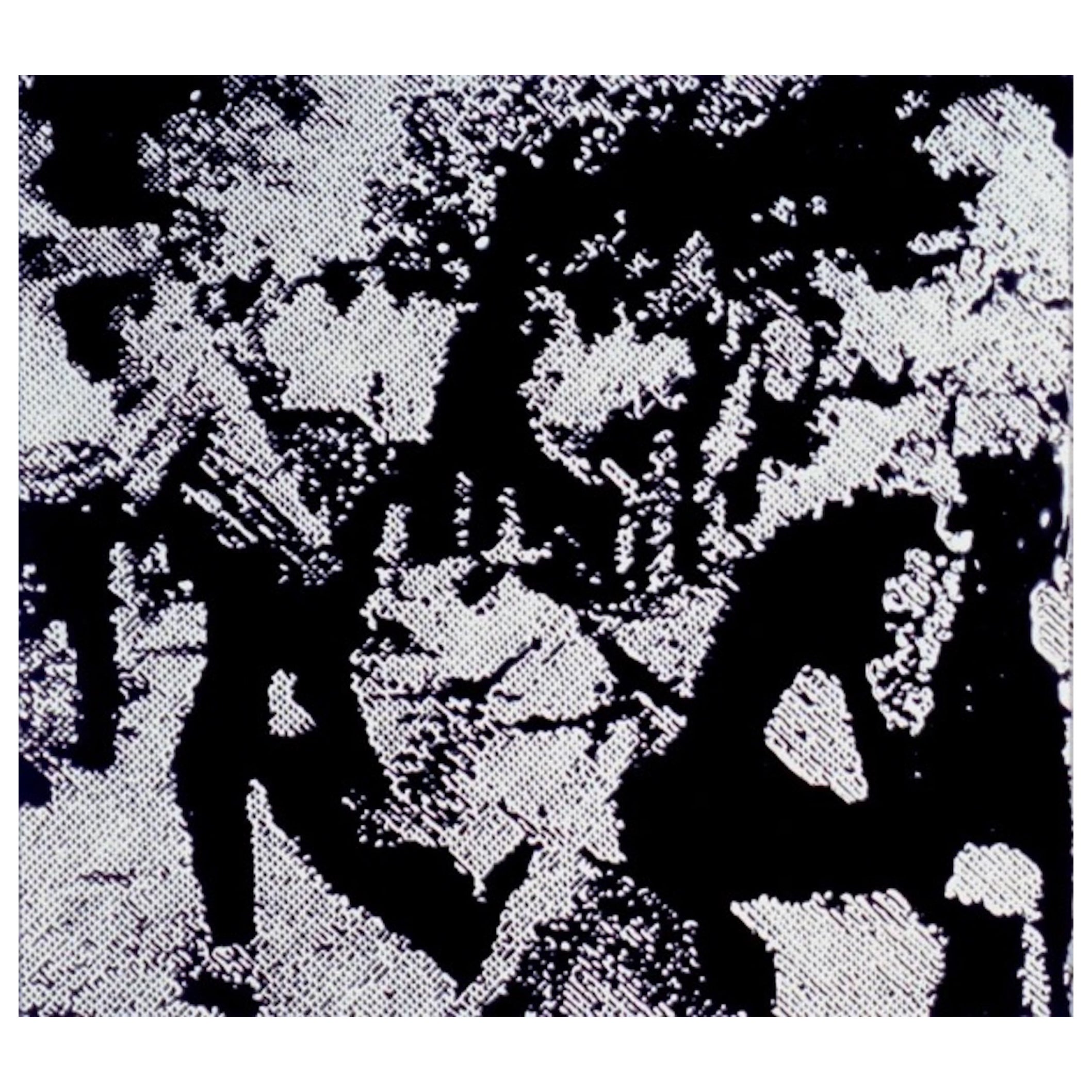 Vik Muniz 1961 - Race Riot /After Warhol, 2001. Cibachrome color photography. For Sale
