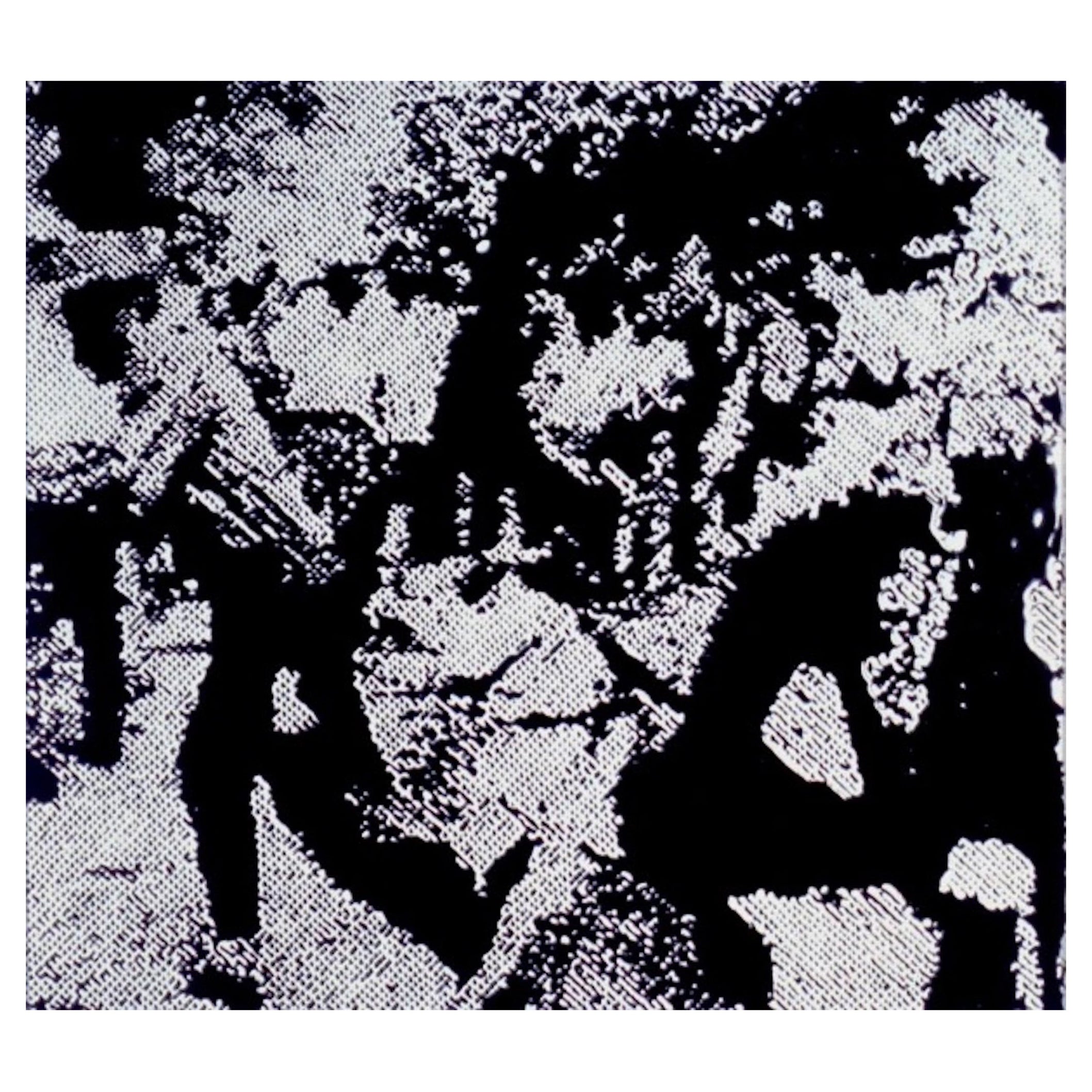 Vik Muniz 1961 - Ethnie Riot /After Warhol, 2001. Cibachrome-Farbfotografie.
