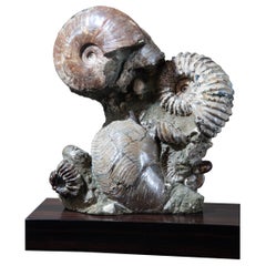 Stone Natural Specimens