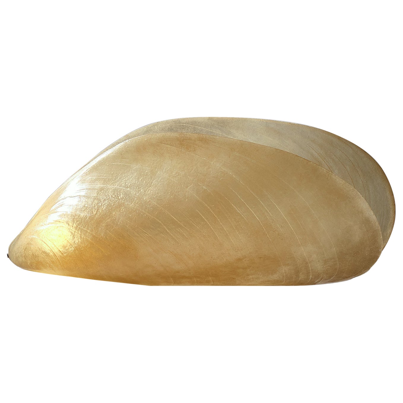 Marika Carniti Bollea XL 'Cozza' Lampe aus der Serie "Il Mare", Italien 1970er Jahre im Angebot
