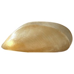 Marika Carniti Bollea XL 'Cozza' Lampe aus der Serie "Il Mare", Italien 1970er Jahre
