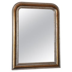 Large Antique Louis Philippe French Giltwood Mirror in Silver and Gold, 19th Cen