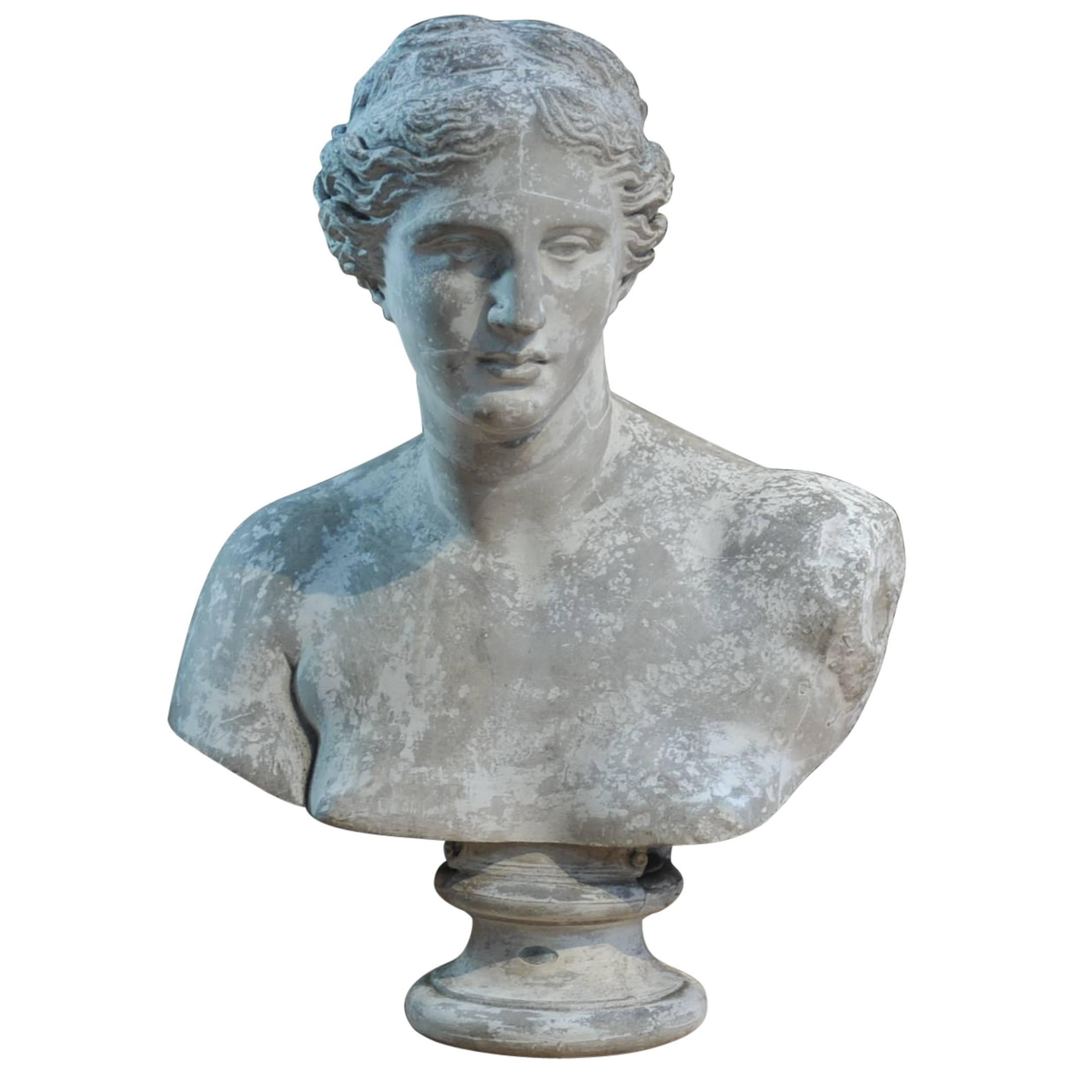 19th Century French Plaster Bust Woman Statue