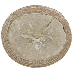 Ancienne intaille camée néoclassique, 19e siècle