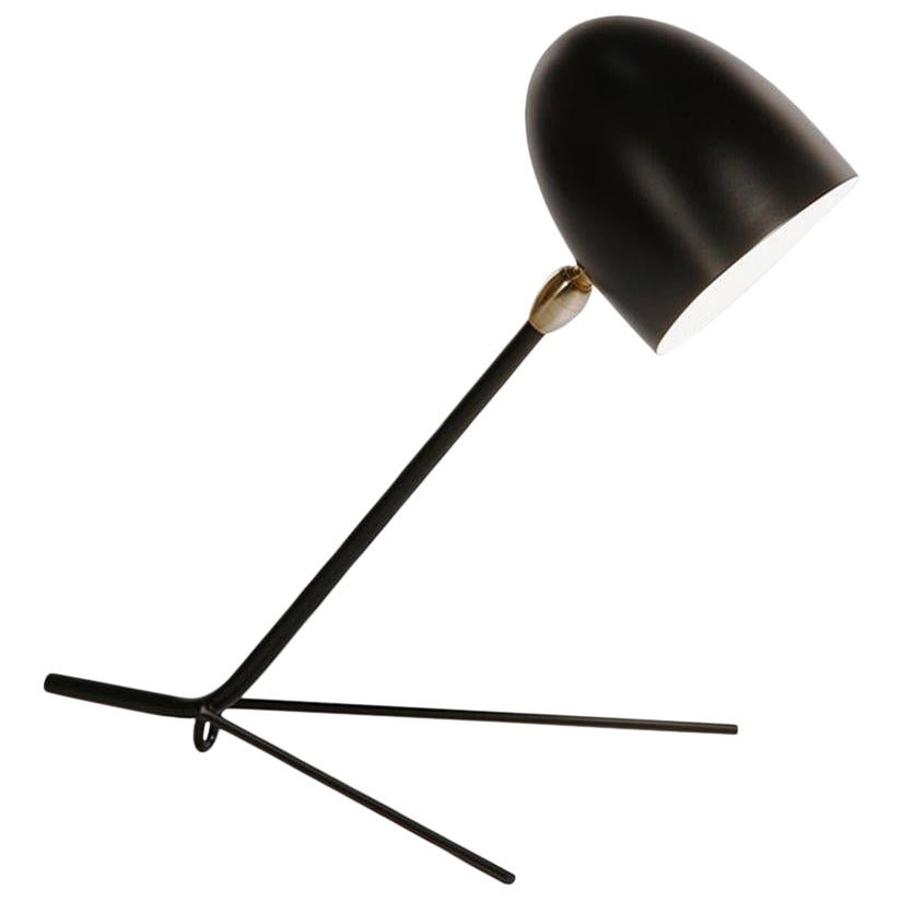 Oggetti nuovi e personalizzabili nella categoria Table Lamps