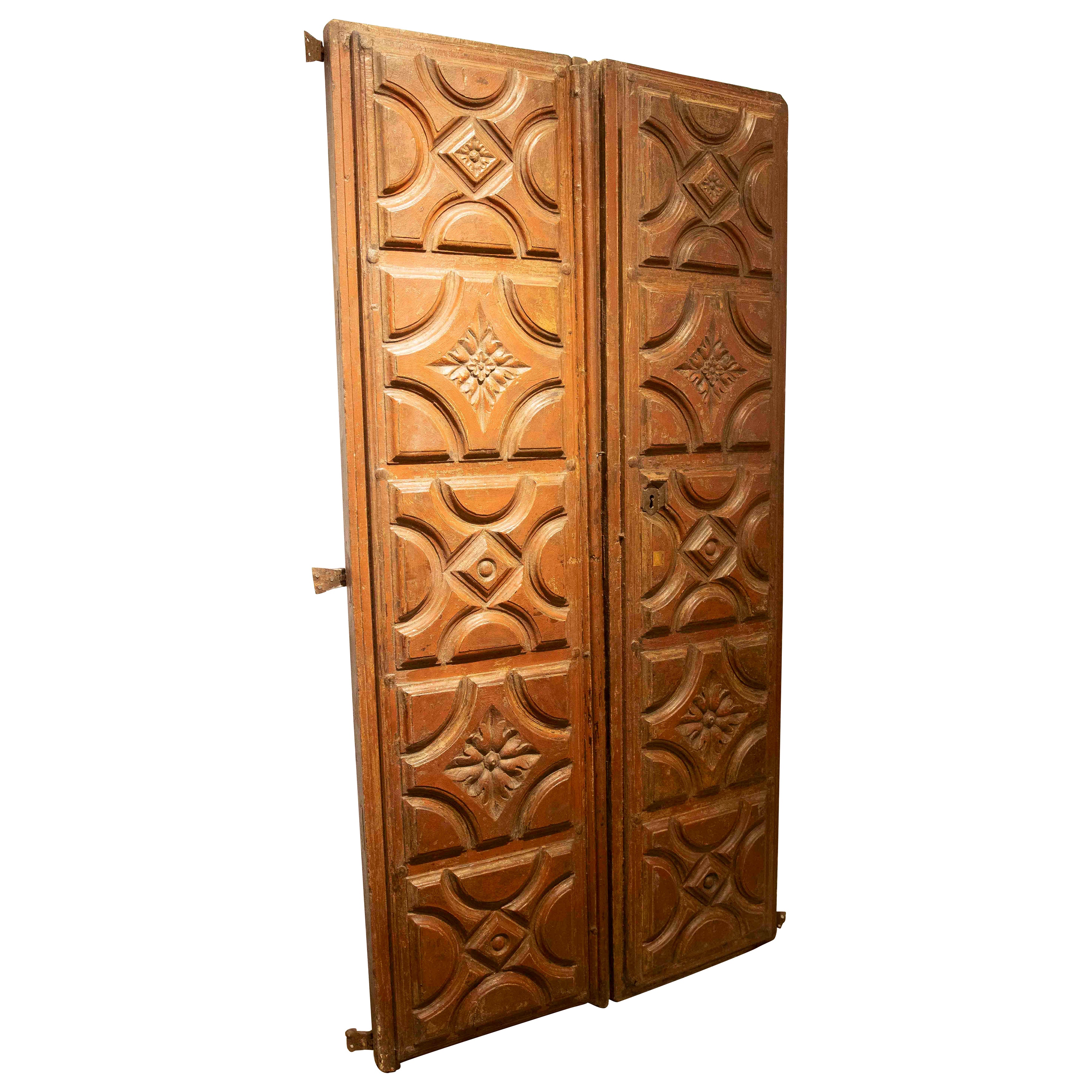 18th Antique Wooden Door Carved with Floral Motifs and Curvilinear Geometry
