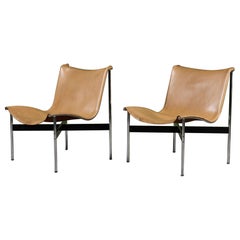 Sedie da salotto moderne di metà secolo