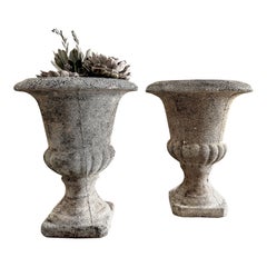 Pair of Early 20th Century Classic French Cement Urn Planters