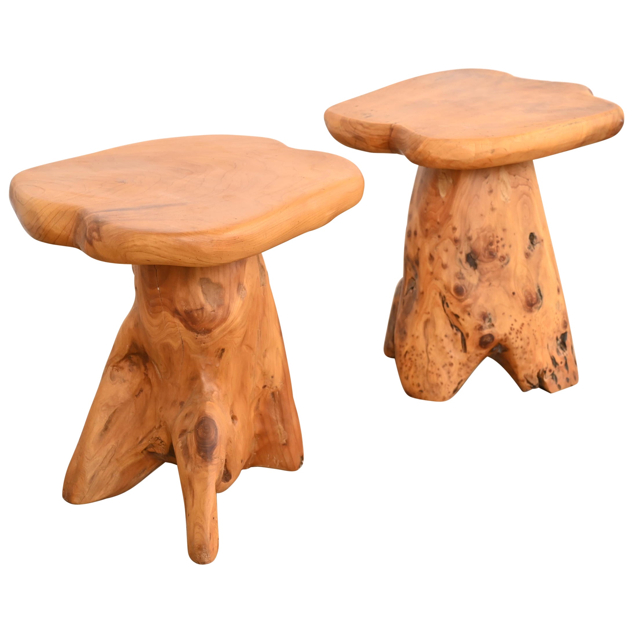 Tables d'appoint Organic Modern en racine de ronce, paire en vente