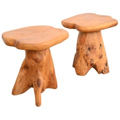 Tables d'appoint Organic Modern en racine de ronce, paire