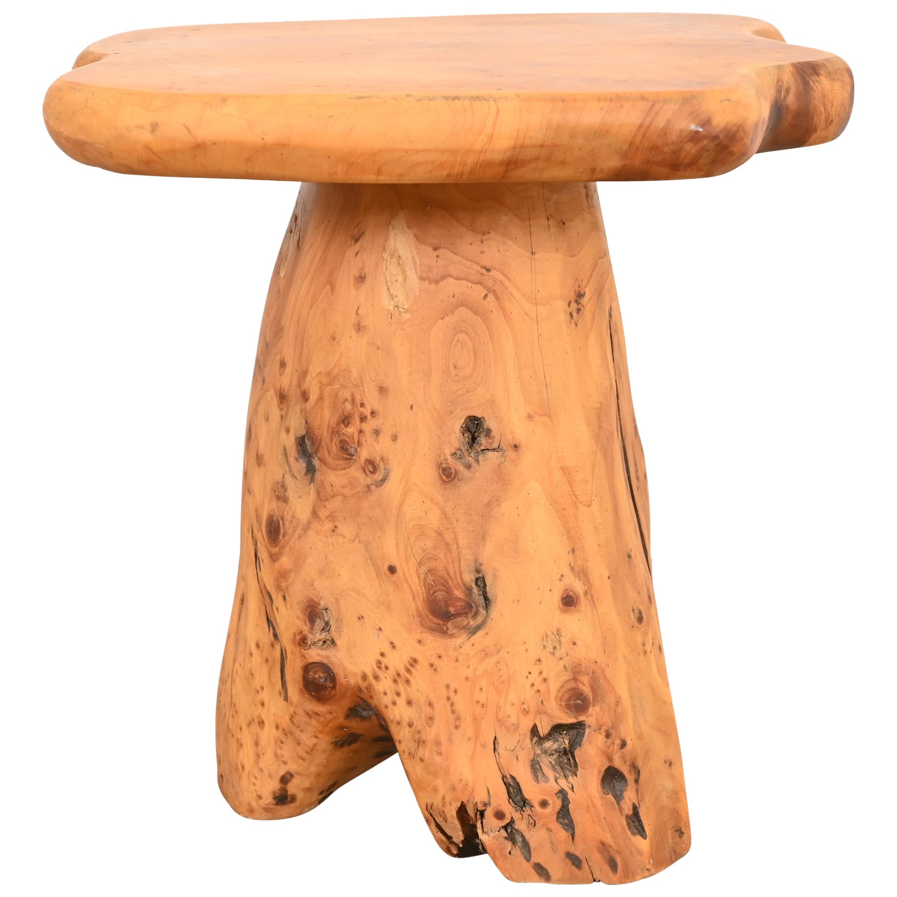 Table d'appoint Organic Modern Burl Root