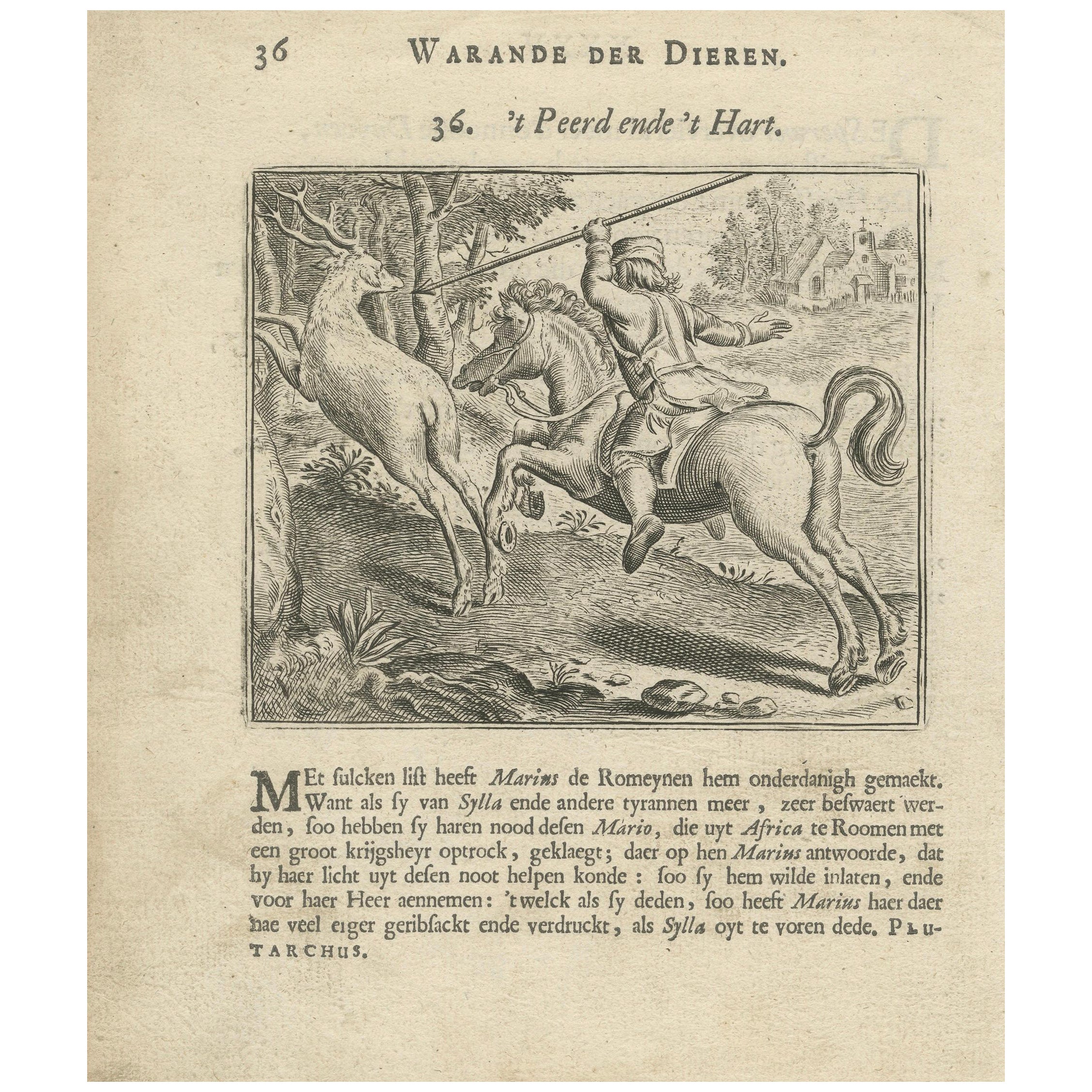 1617 Horse and Deer Engraving by Vondel – Warande der Dieren For Sale