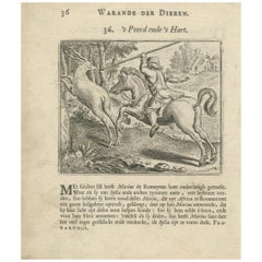 1617 Horse and Deer Engraving by Vondel – Warande der Dieren