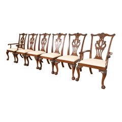 Drexel Heritage Chippendale geschnitzt Mahagoni Esszimmerstühle, Satz von sechs