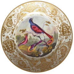 Derby Gilt Bird Plate