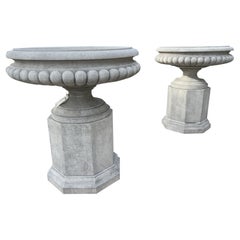 Pair of Wide Italian Tazza-Form Limestone Vases on Pedestals