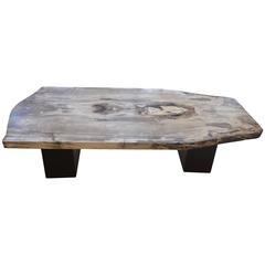 Petrified Wood Coffee Table 3