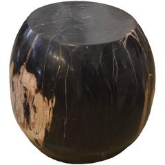 Drum Petrified Wood Side Table
