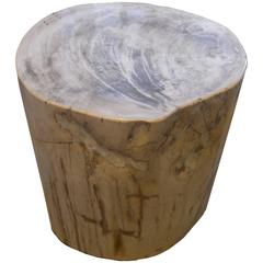 Antique Petrified Wood Side Table