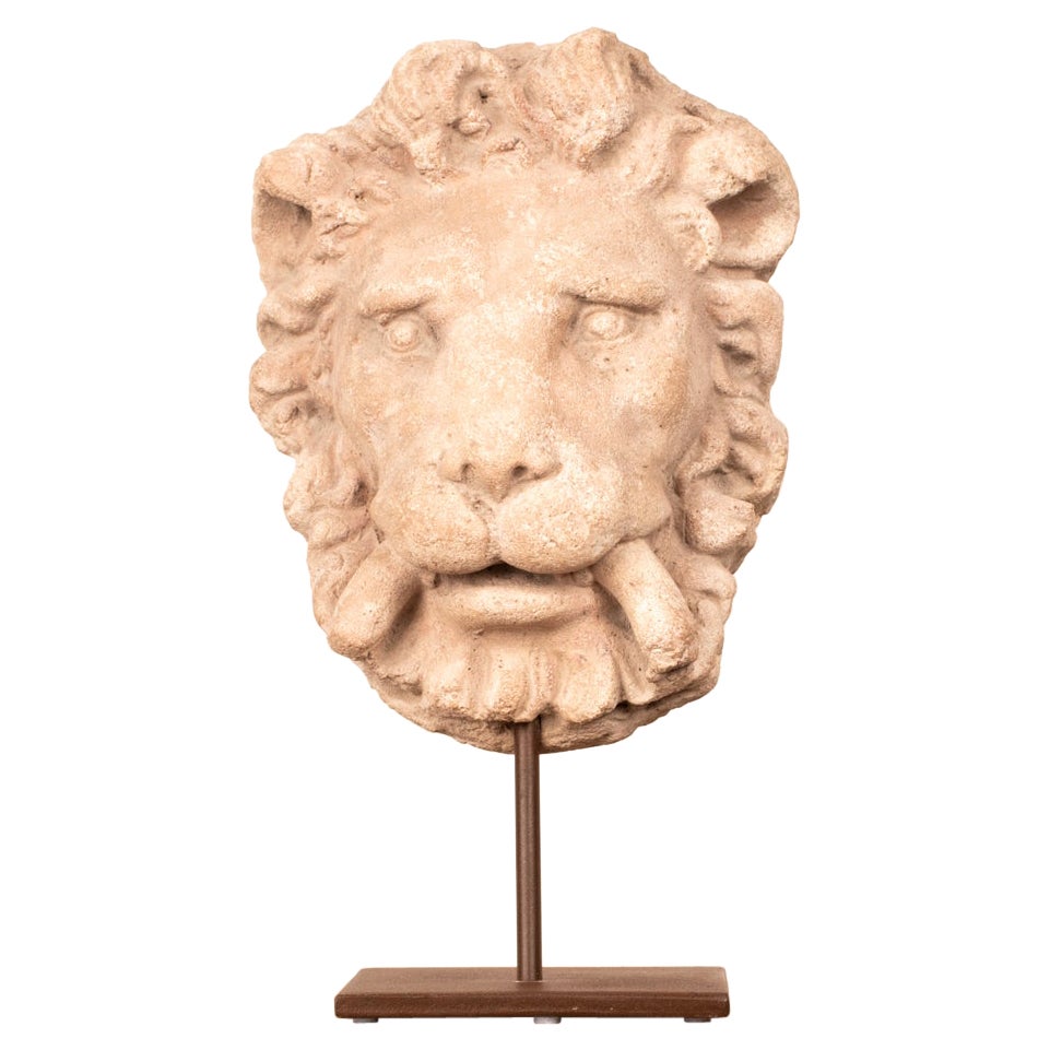 Elemento da parete a testa di leone in pietra intagliata del XVIII-XIX secolo in Spagna in vendita
