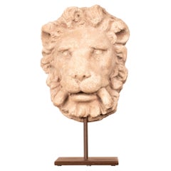 Elemento da parete a testa di leone in pietra intagliata del XVIII-XIX secolo in Spagna