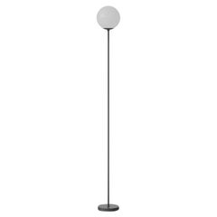 Gino Sarfatti Lampe Model No 1081 170cm Noir Monture pour Astep