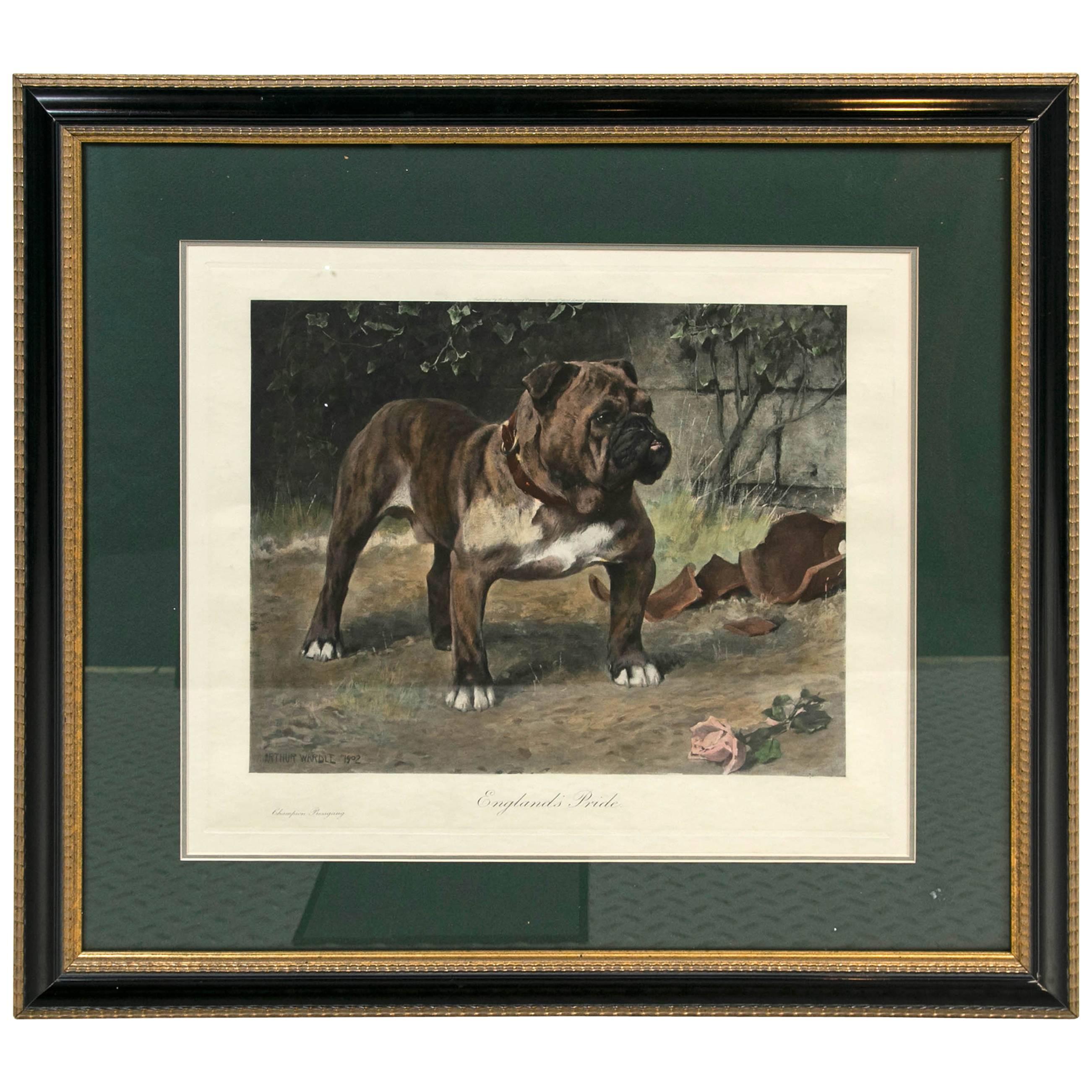 Arthur Wardle "England's Pride" Hand Colored Print For Sale