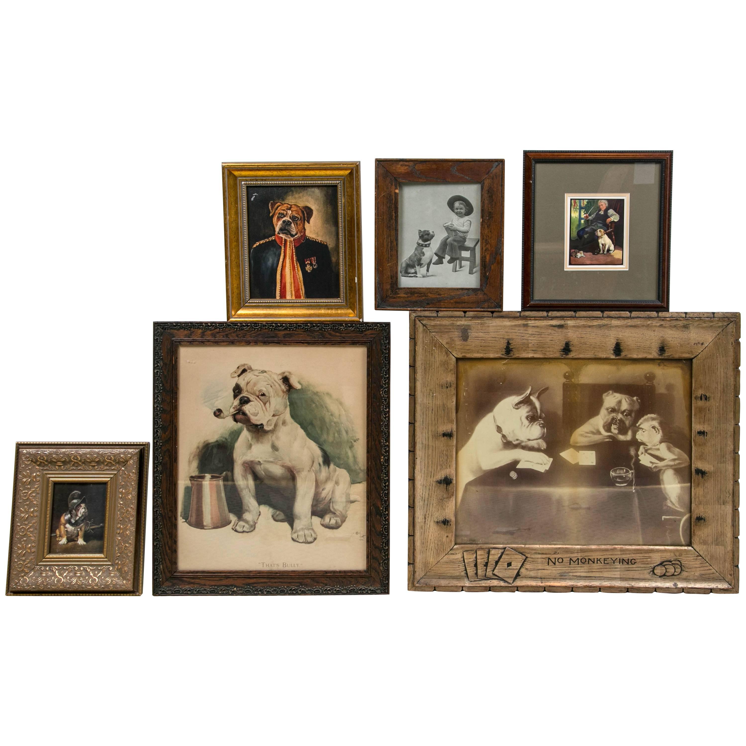 Unique Bulldog Art Collection For Sale