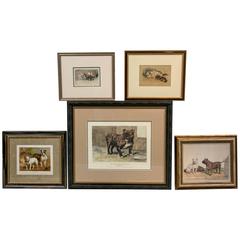 Collection of Various Bulldog Artworks