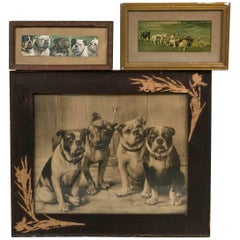 Unique Bulldog Art Collection