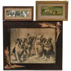 Unique Bulldog Art Collection 12