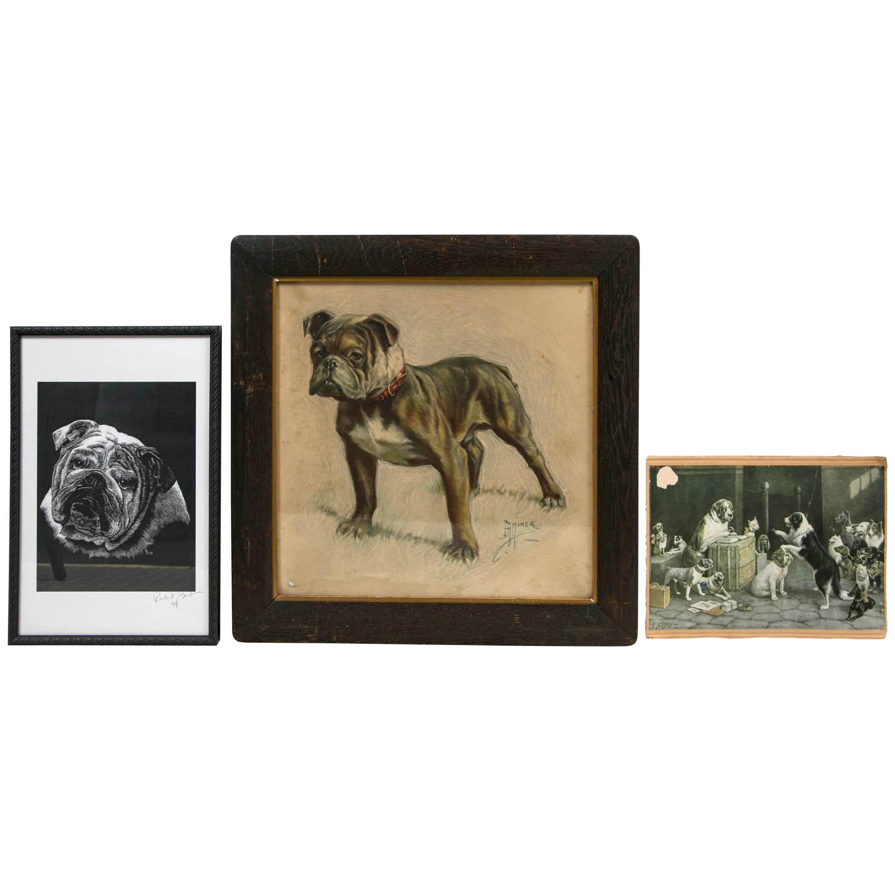 Mixed Collection of Bulldog Art For Sale