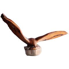 Large and Elegant Carved Eagle from 1275 Year Old Wood Stump, New Mexico 8