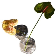 Pure Crystal Nuvola Vase by Studio Bojola
