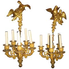 Pair of Superb Antique French Louis XVI Style Gilt Bronze Chandelier Sconces 12