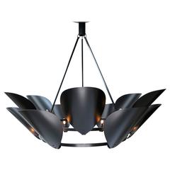 Black Brass Powdered Coated Petal Chandelier