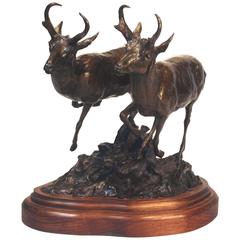 Used American Pronghorns, Bronze Sculpture by Veryl Goodnight