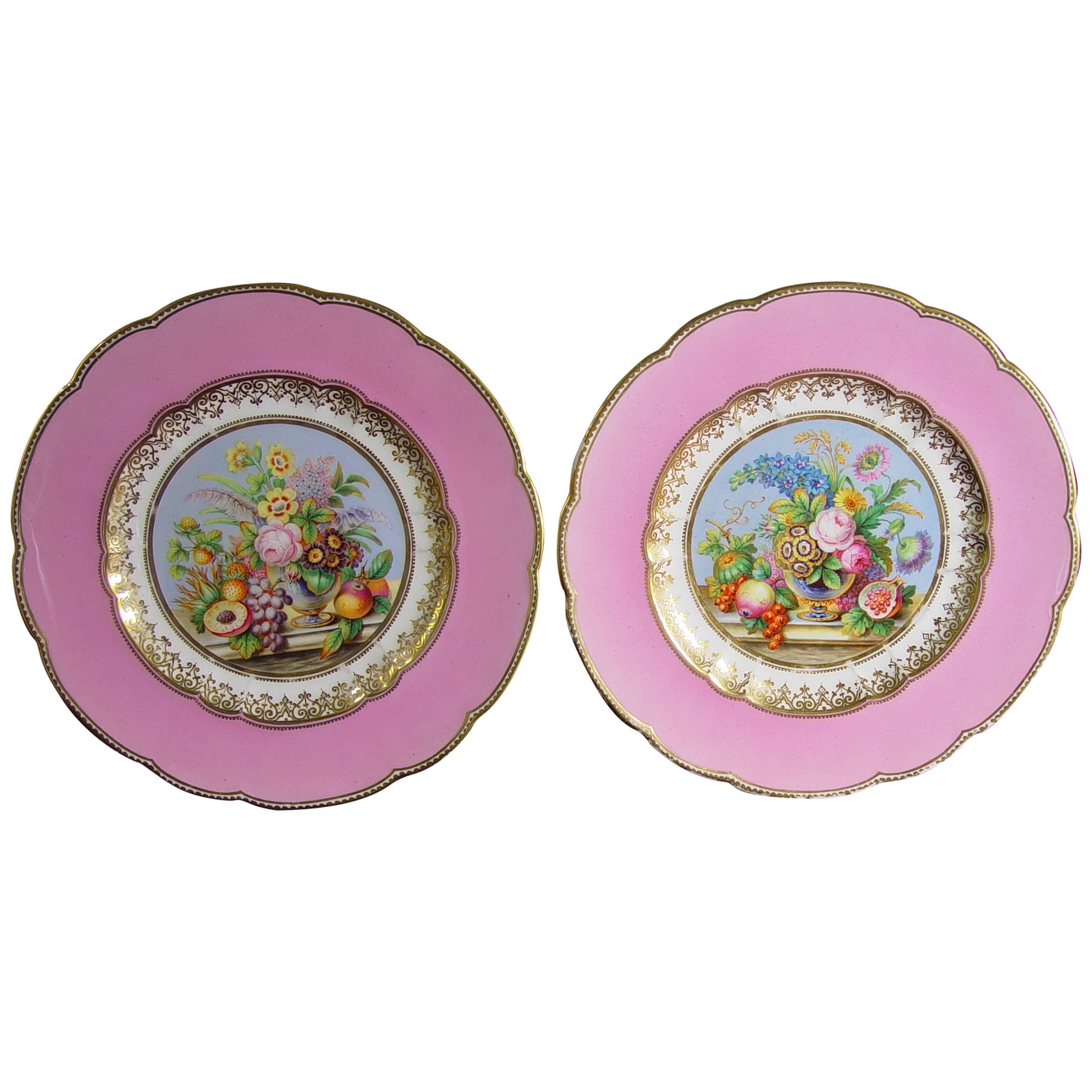 English Porcelain Pink-Ground Pair of Botanical Plates Probably Minton.