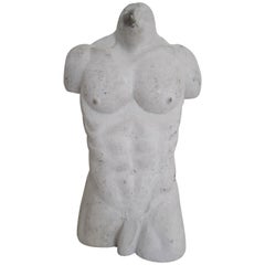 Male Torso Plaster Sculpture