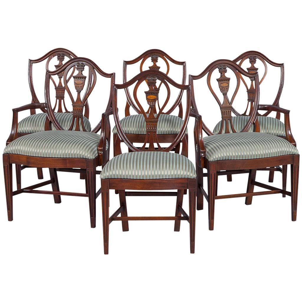 Set of Six Antique Union National Mahogany Chairs Hepplewhite Design