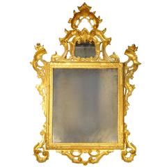 Venetian 19th Century Gold Gilded Louis XV Mirror