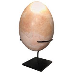 Large Reconstructed Elephant Bird's Egg