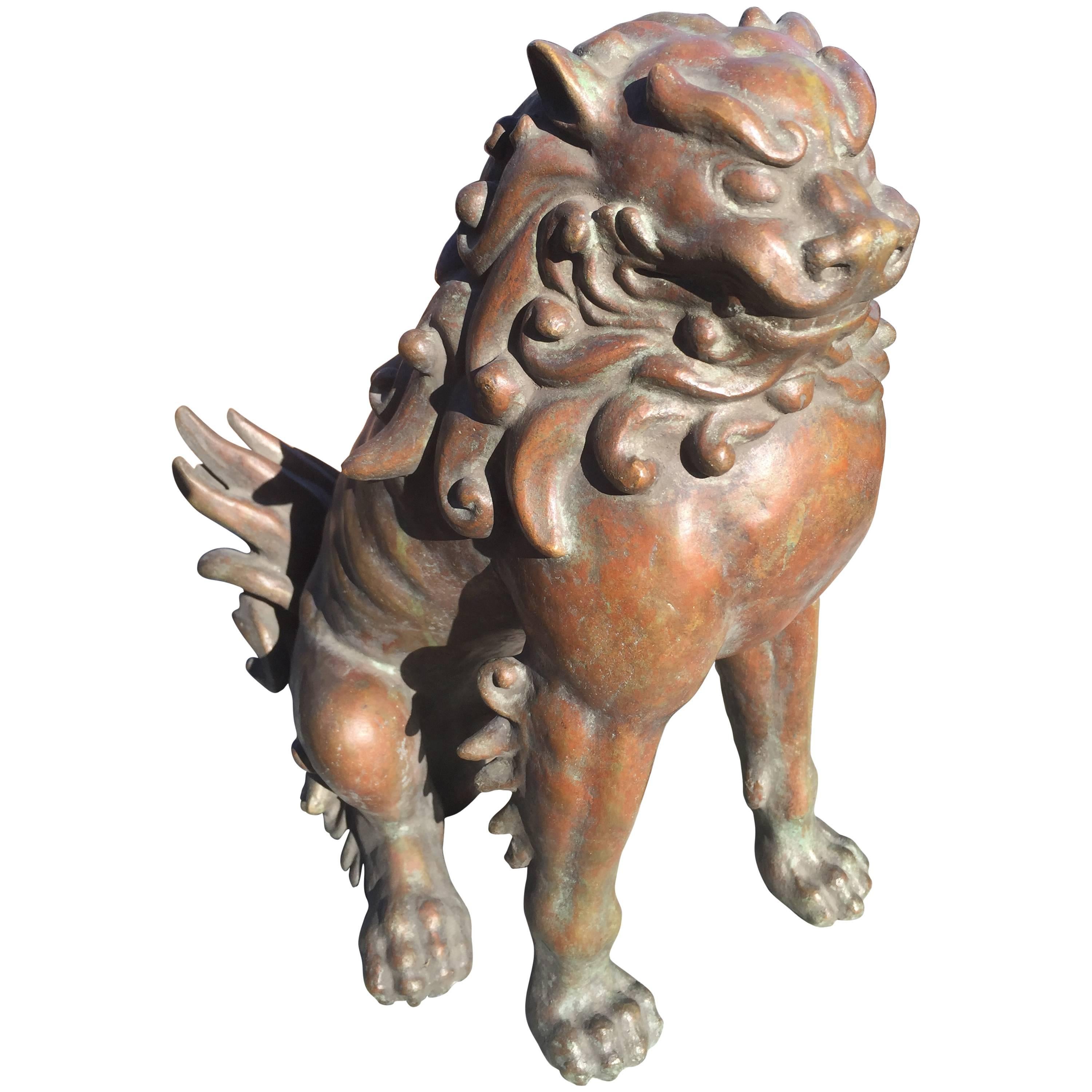 Japanese Fine Bronze Antique Lion Garden Dog with original collector box